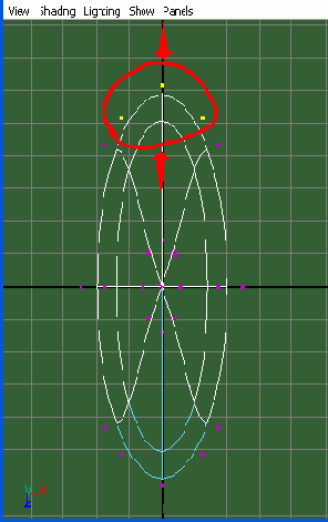         Top View ( )