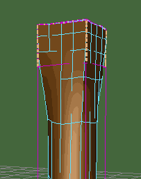  Full Crease ( )     